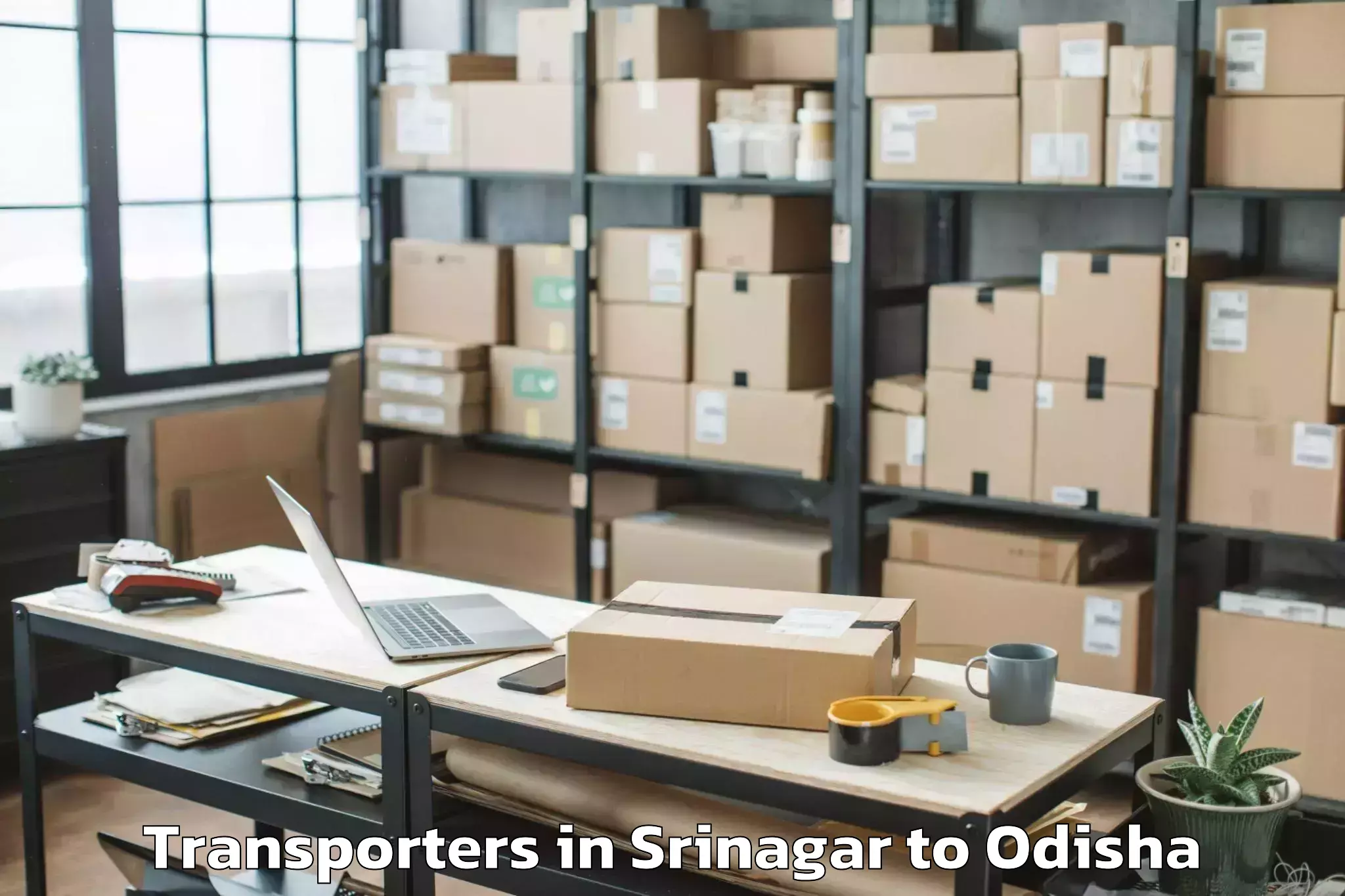 Book Srinagar to Dasapalla Transporters Online